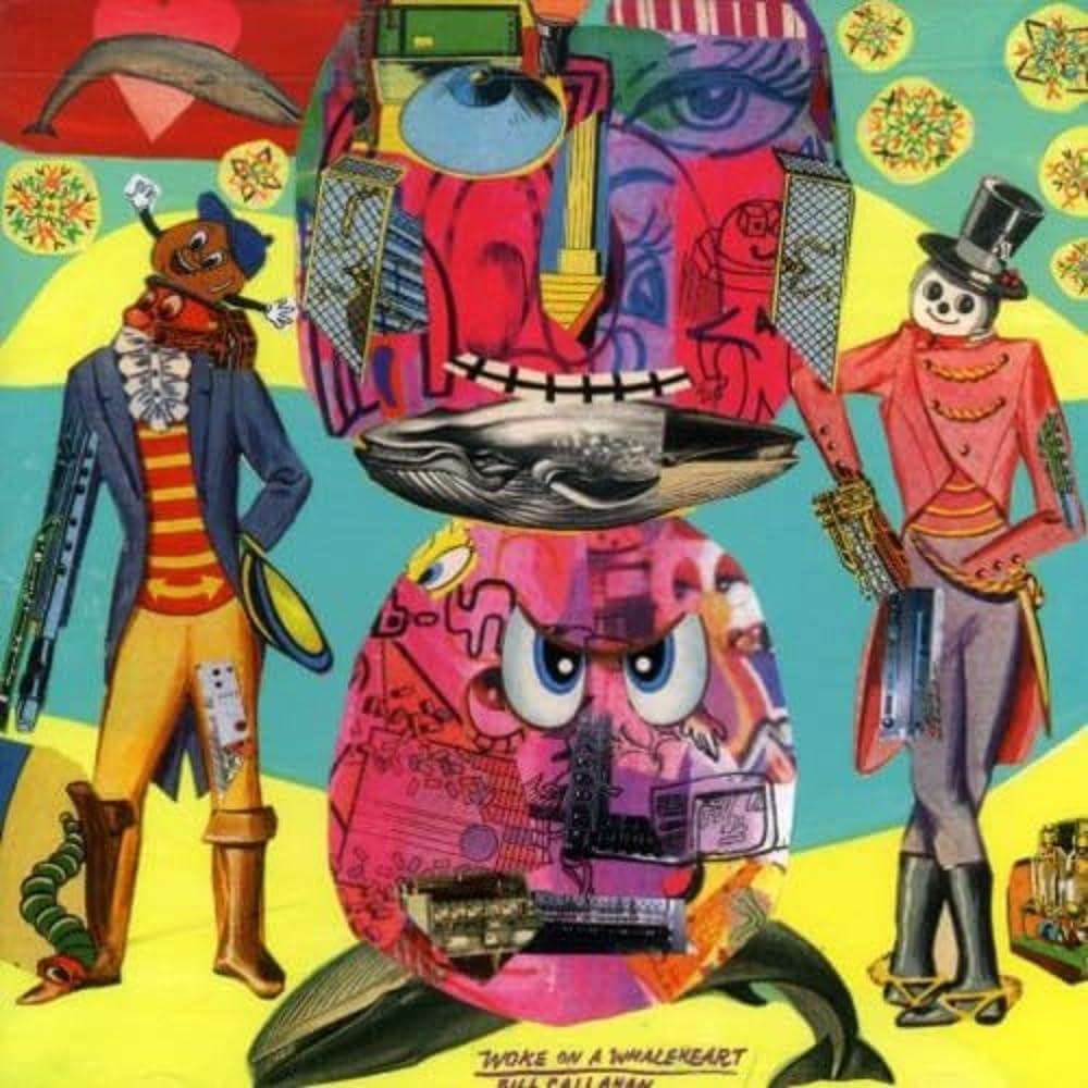 Bill Callahan - Woke On A Whaleheart - Cd