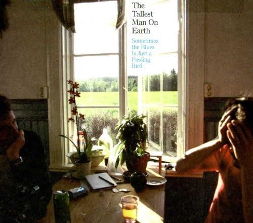 Tallest Man On Earth - Sometimes the Blues Is Just A Passing Bird - Cd