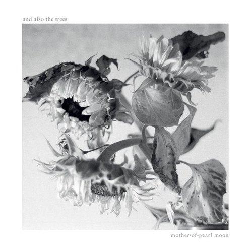 And Also The Trees - Mother-of-Pearl Moon - Cd