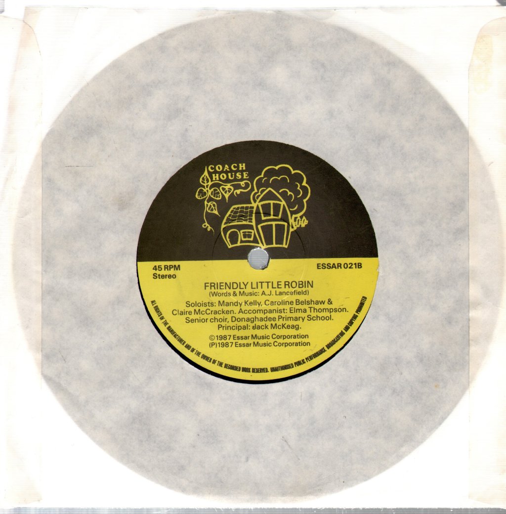 Donoghadee Primary School - Green Mistletoe - 7 Inch