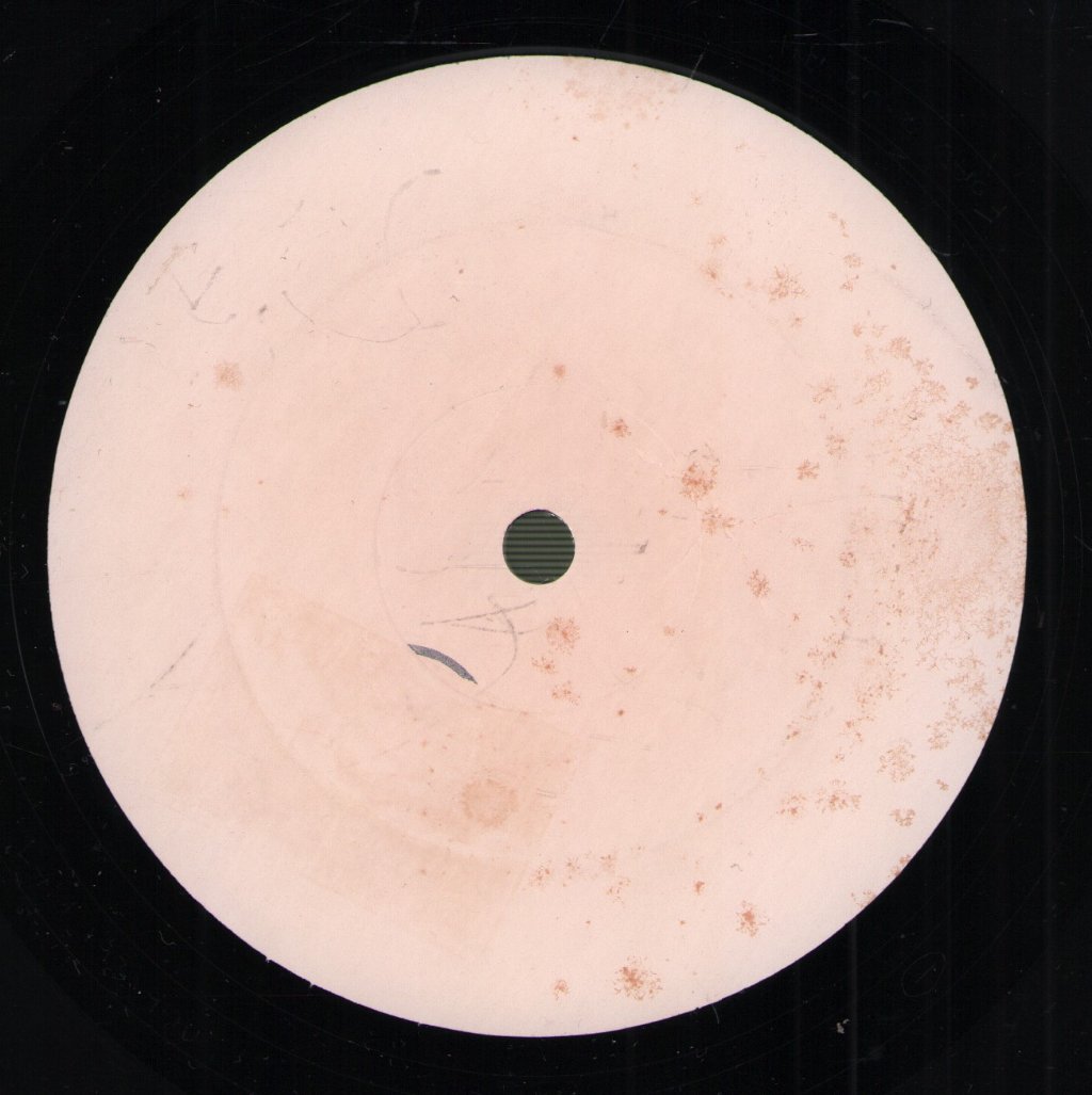 Paranoid Visions - I Will Wallow - 10 Inch