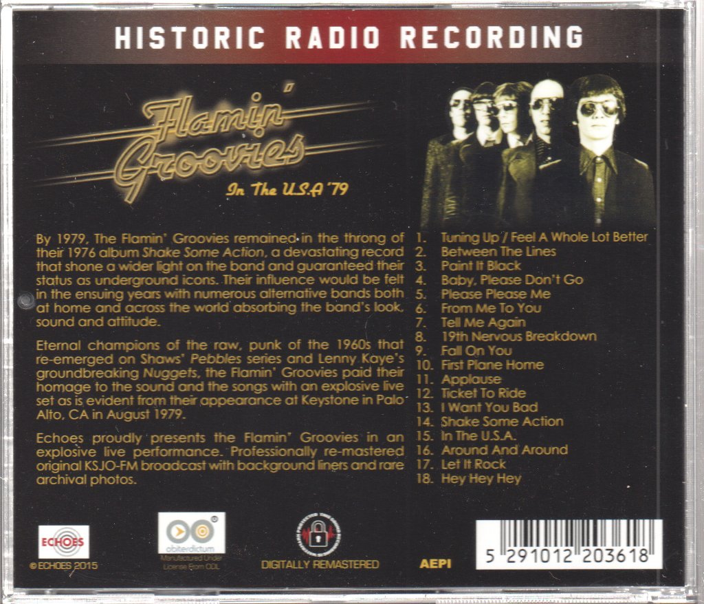 Flamin' Groovies - In The Usa 79 - Cd