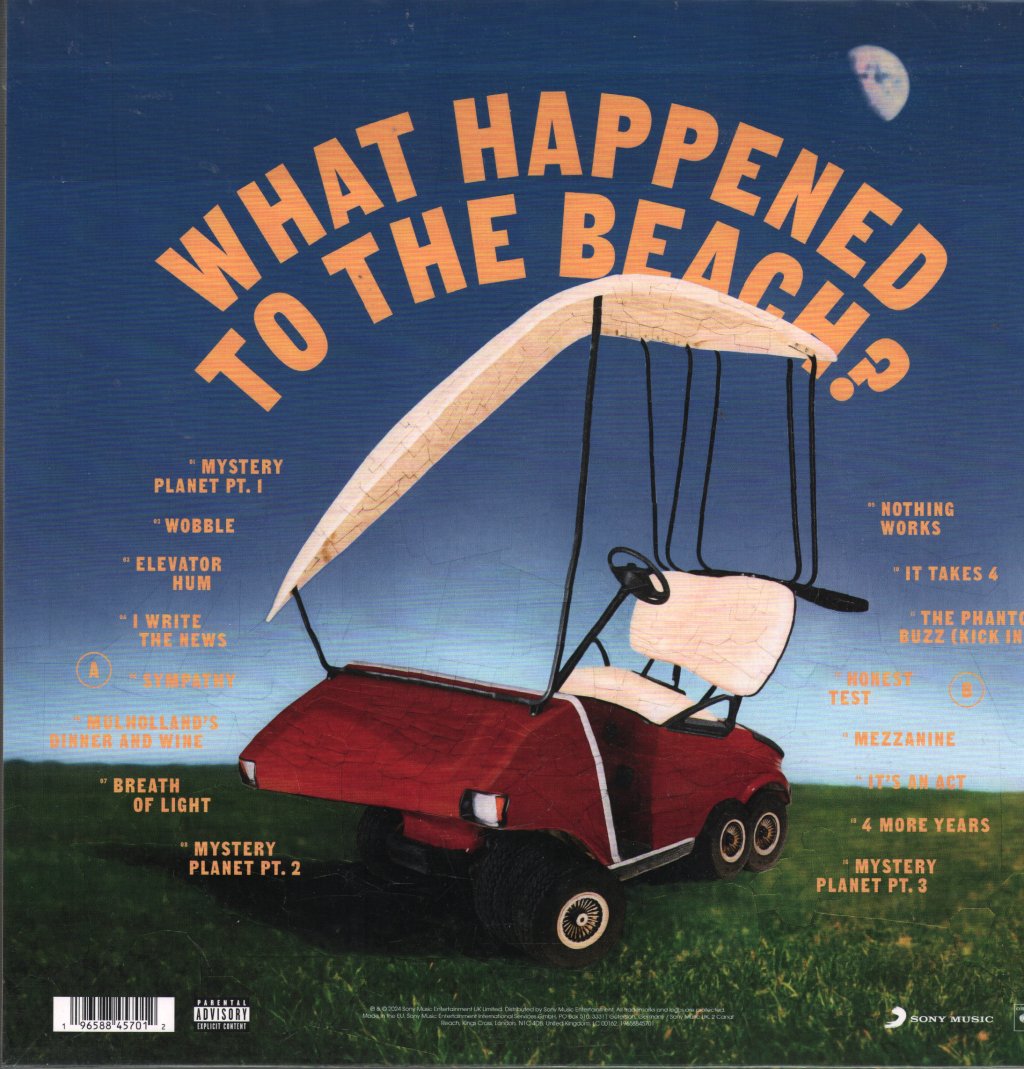 Declan Mckenna - What Happened to the Beach? - Lp