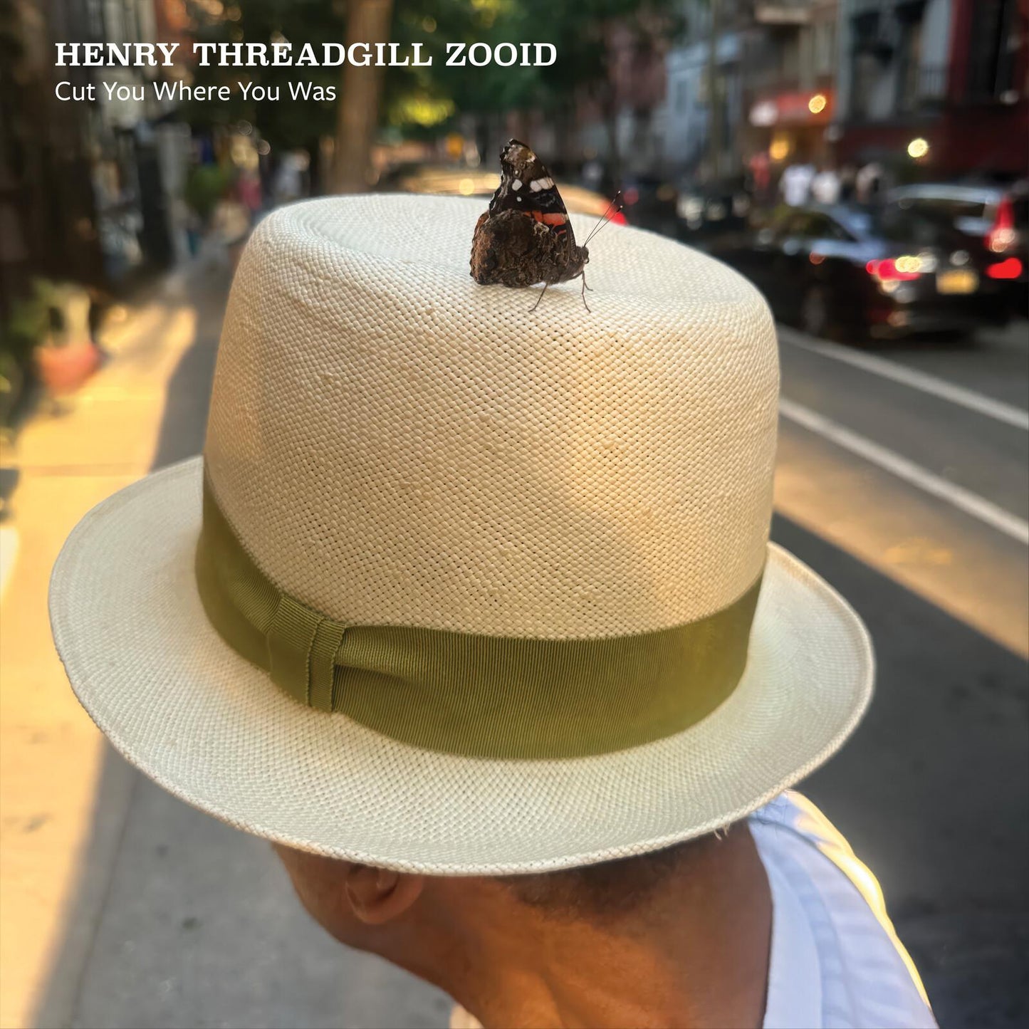 Henry Threadgill - Cut You Where You Was - Lp