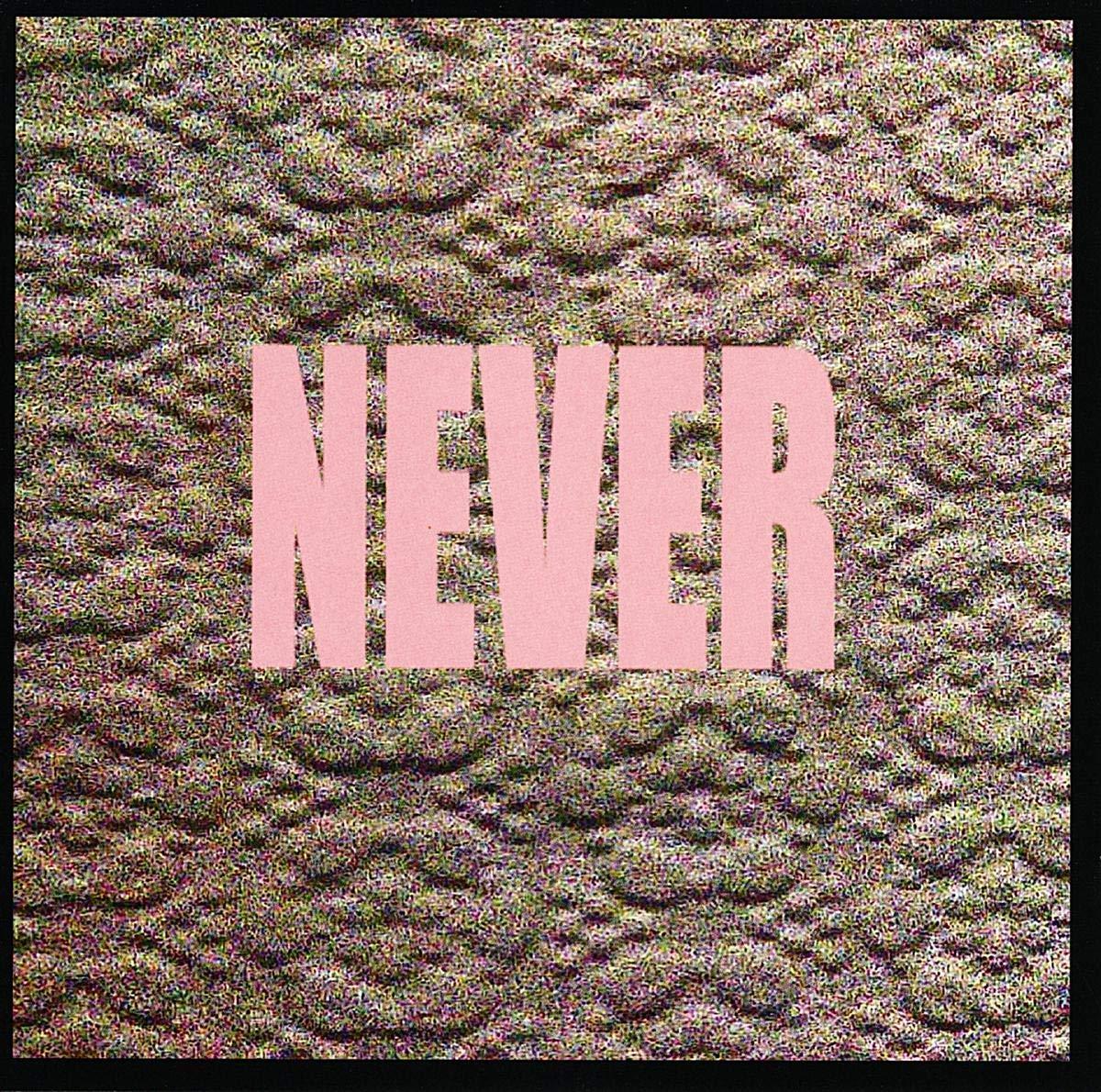 Micachu And The Shapes - Never - Lp