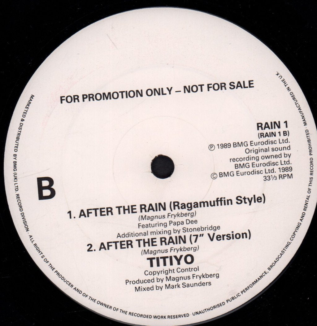 Titiyo - After The Rain - 12 Inch
