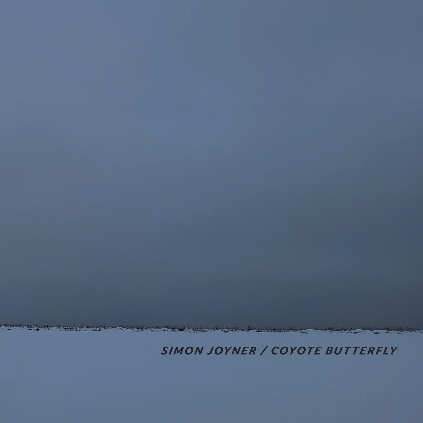 Simon Joyner - Coyote Butterfly - Lp