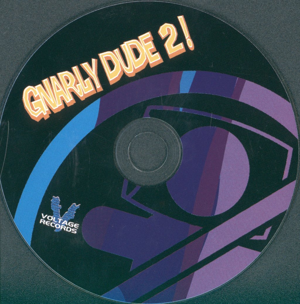 Various Artists - Gnarly Dude 2 - Cd
