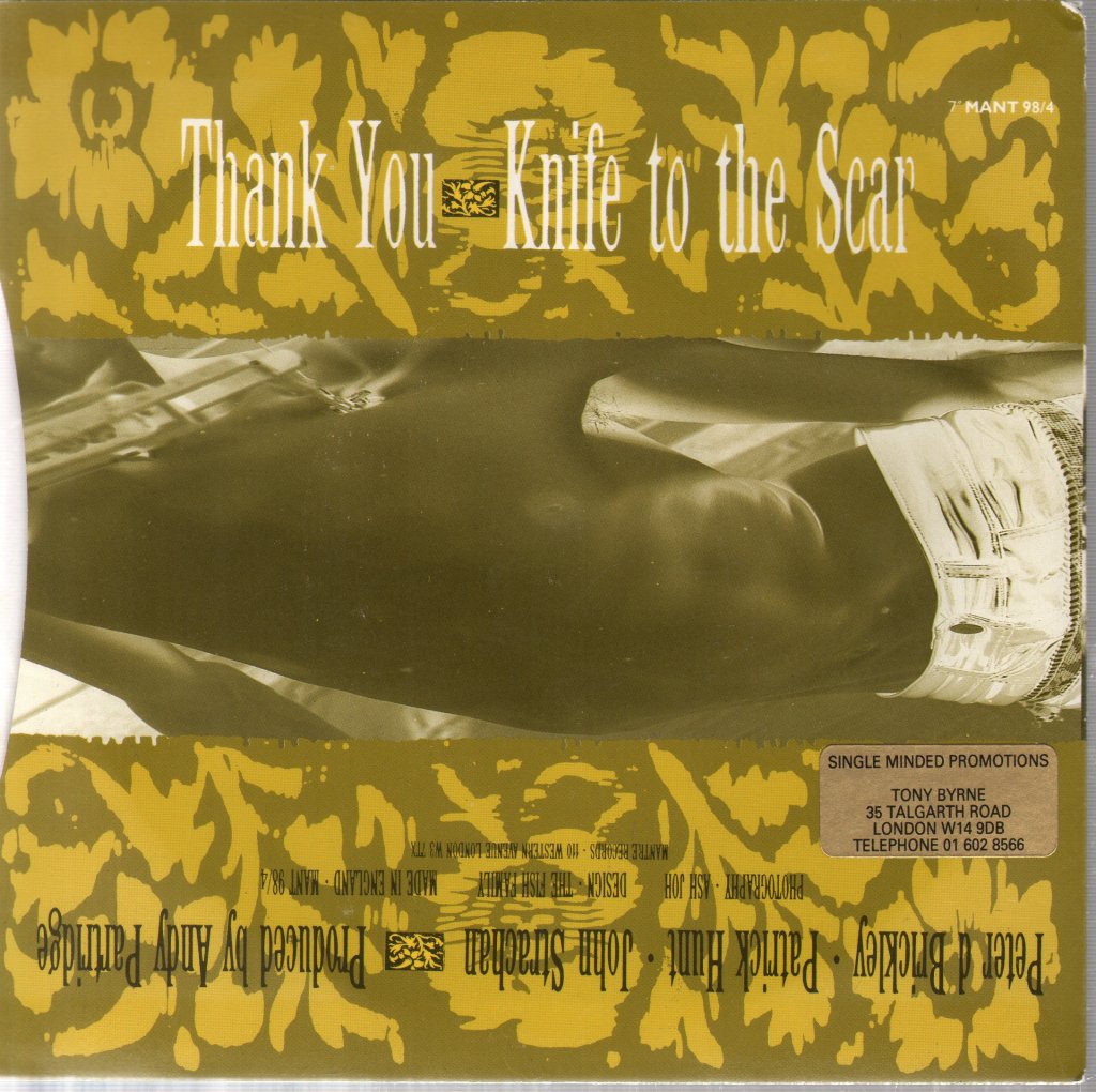 Wallflowers (Indie) - Thank You - 7 Inch