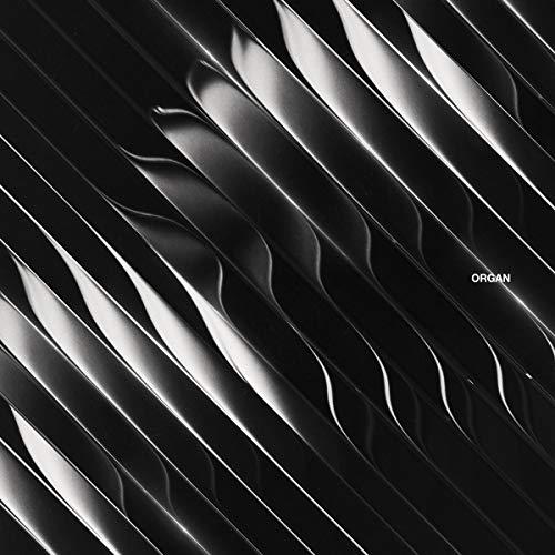 Dimension - Organ - Cd