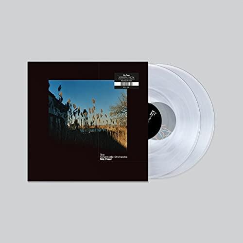 Cinematic Orchestra - Ma Fleur - Double Lp