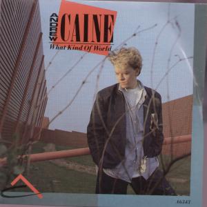 Andrew Caine - What Kind Of World - 7 Inch