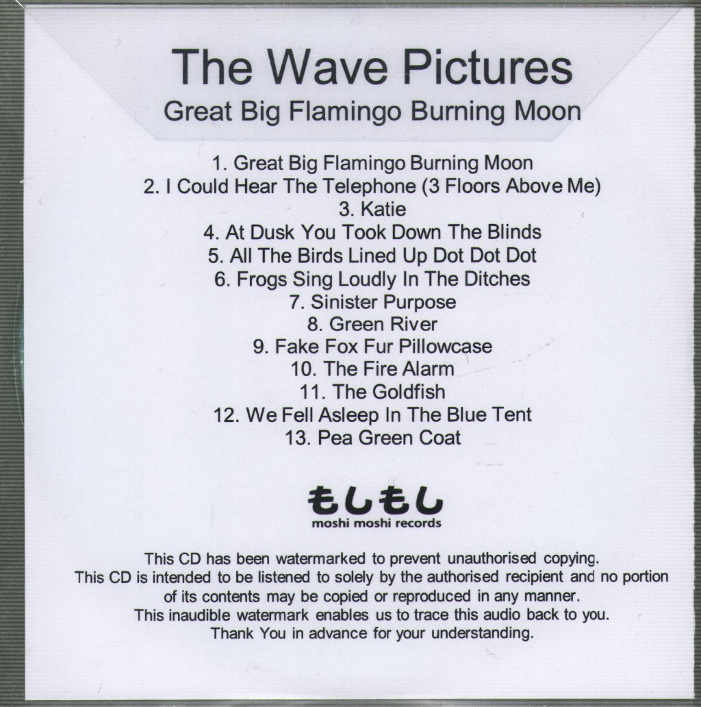 Wave Pictures - Great Big Flamingo Burning Moon - Cdr