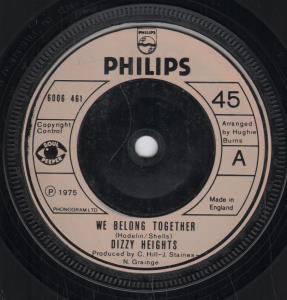 Dizzy Heights/Skytrain - We Belong Together / Routes - 7 Inch
