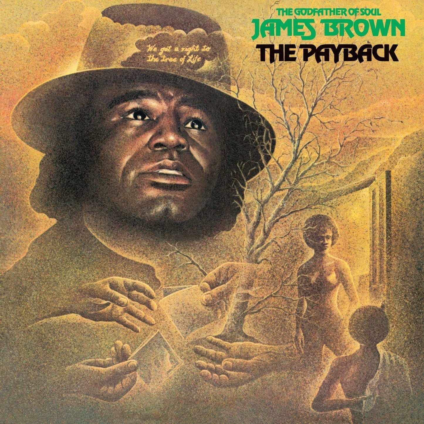 James Brown - Payback - Double Lp