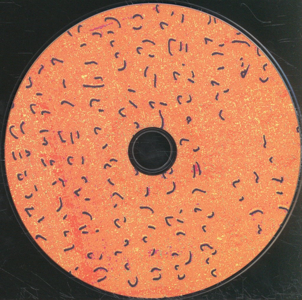 Larry Gus - Subservient - Cd