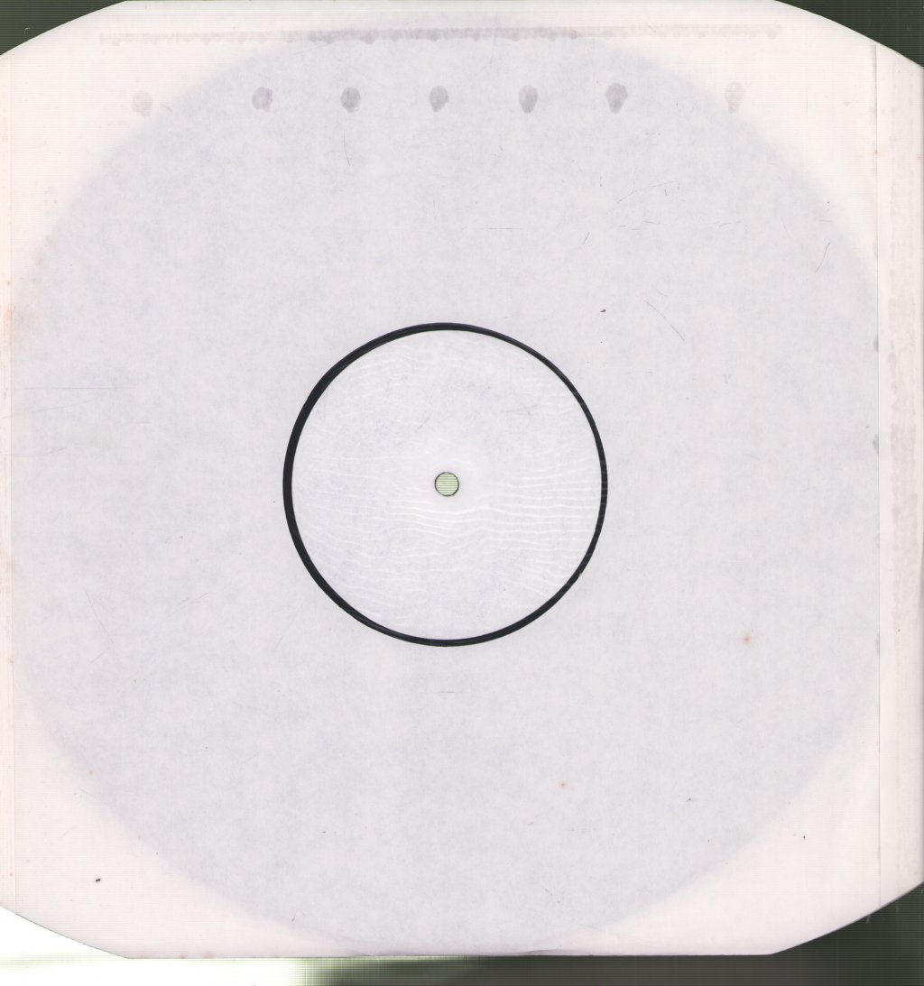 Perfect Disaster - Rise - 12 Inch