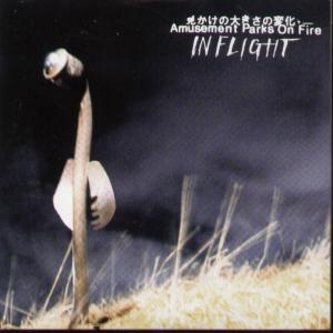 Amusement Parks On Fire - In Flight - Cd