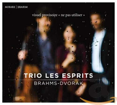 Johannes Brahms - Trio Les Esprits - Cd