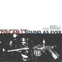 You Am I - Sound As Ever - Cd