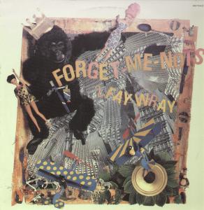 Forget Me Nots - 2 Fay Wray - 12 Inch