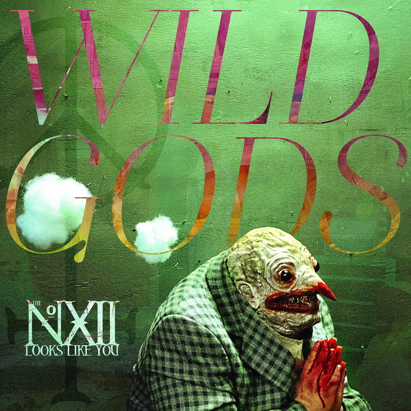 Number Twelve Looks Like You - Wild Gods - Cd