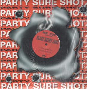 Mr Cue Presents Black Berry Jamz - I Can Stand You - 12 Inch