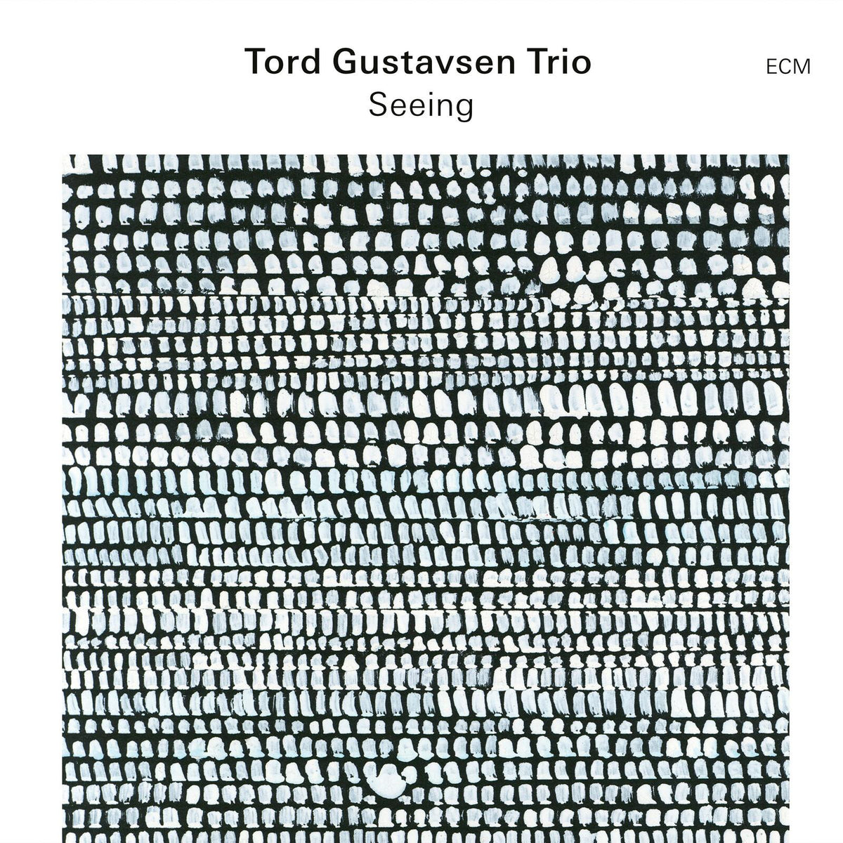 Tord Gustavsen Trio - Tord Gustavsen Trio: Seeing - Cd