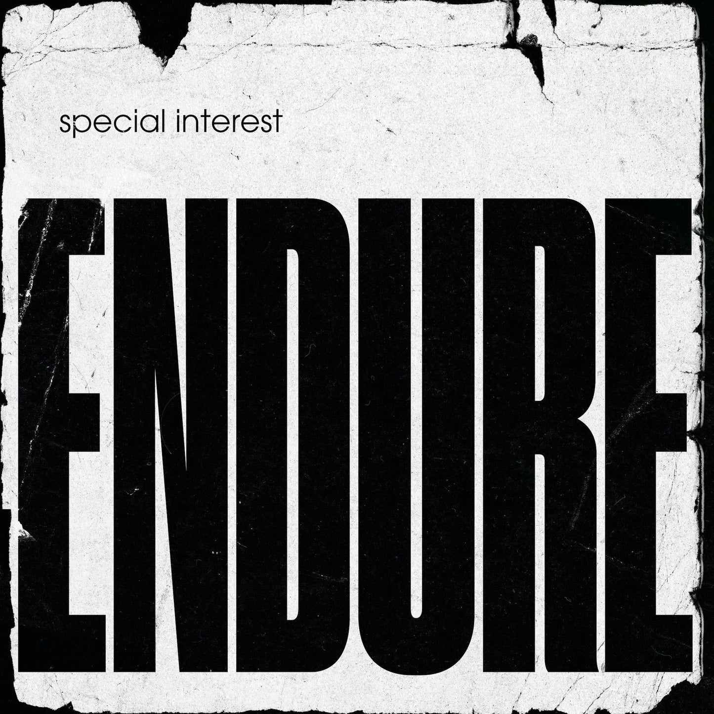 Special Interest - Endure - Lp