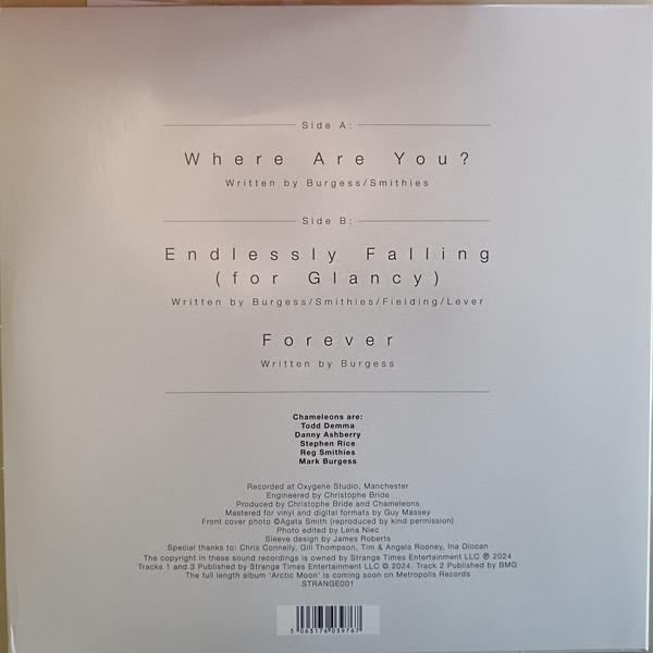 Chameleons - Where Are You? - 12 Inch