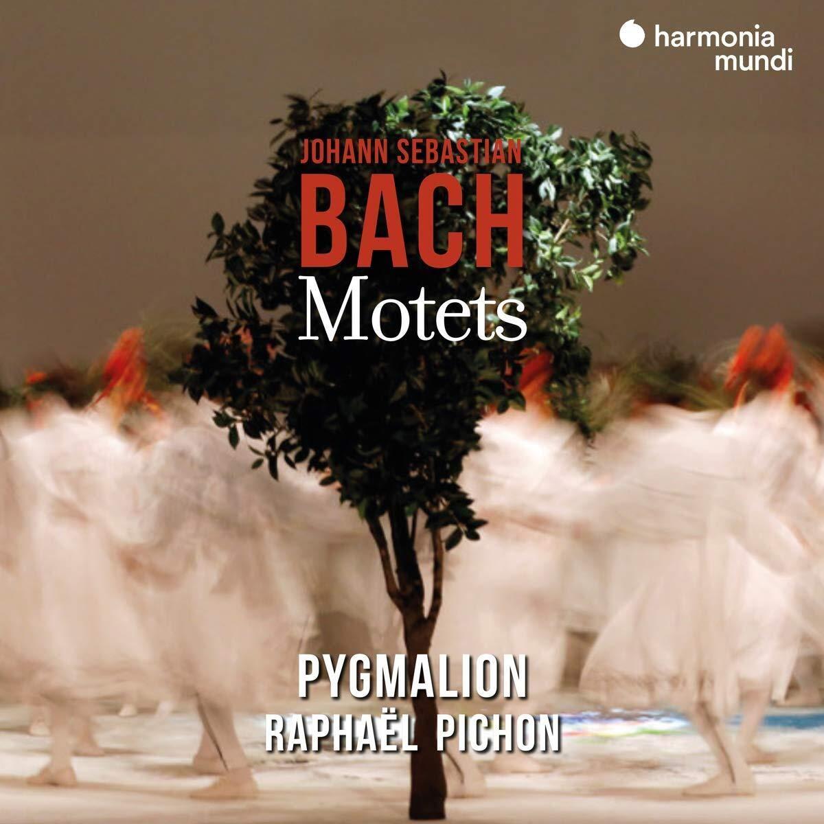 Johann Sebastian Bach - Johann Sebastian Bach: Motets - Cd