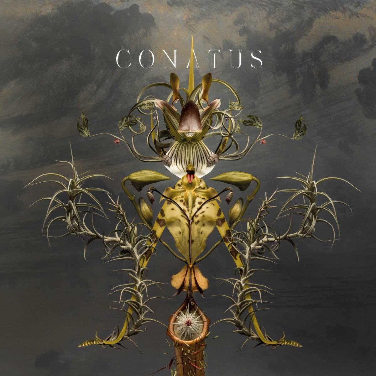 Joep Beving - Conatus - Double Lp