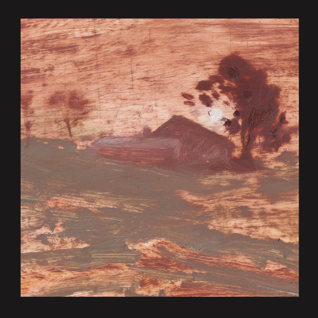 The Shits - Diet Of Worms - Lp