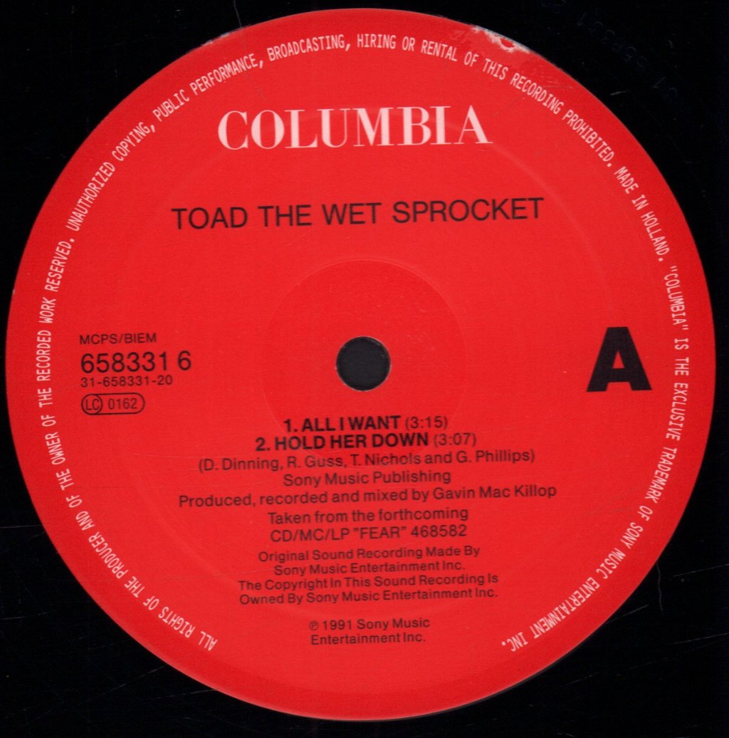 Toad The Wet Sprocket (Us) - All I Want - 12 Inch