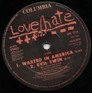 Love Hate - Wasted In America - 12 Inch