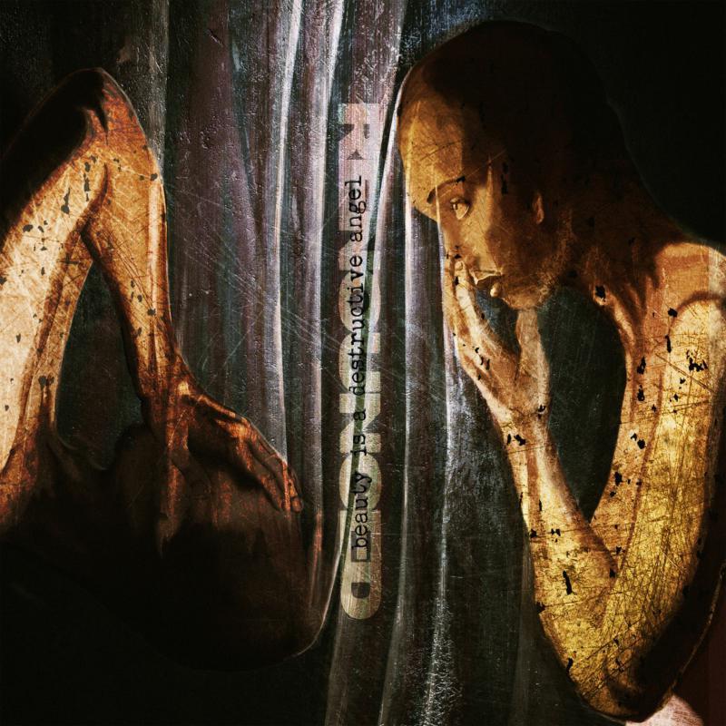 Renounced - Beauty Is A Destructive Angel - Lp