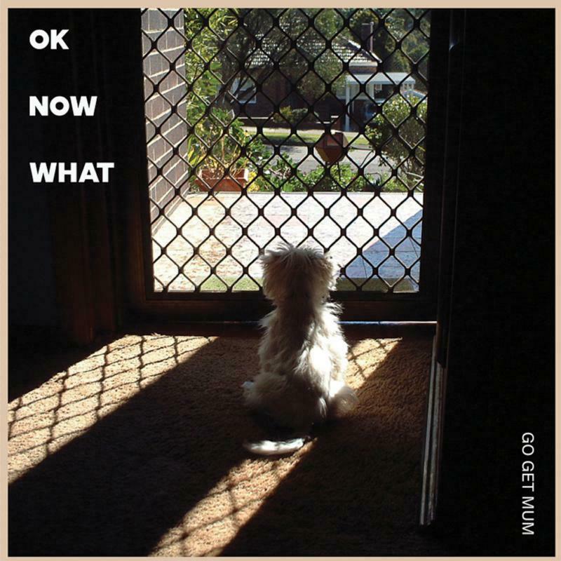 GO GET MUM - Ok Now What - Lp