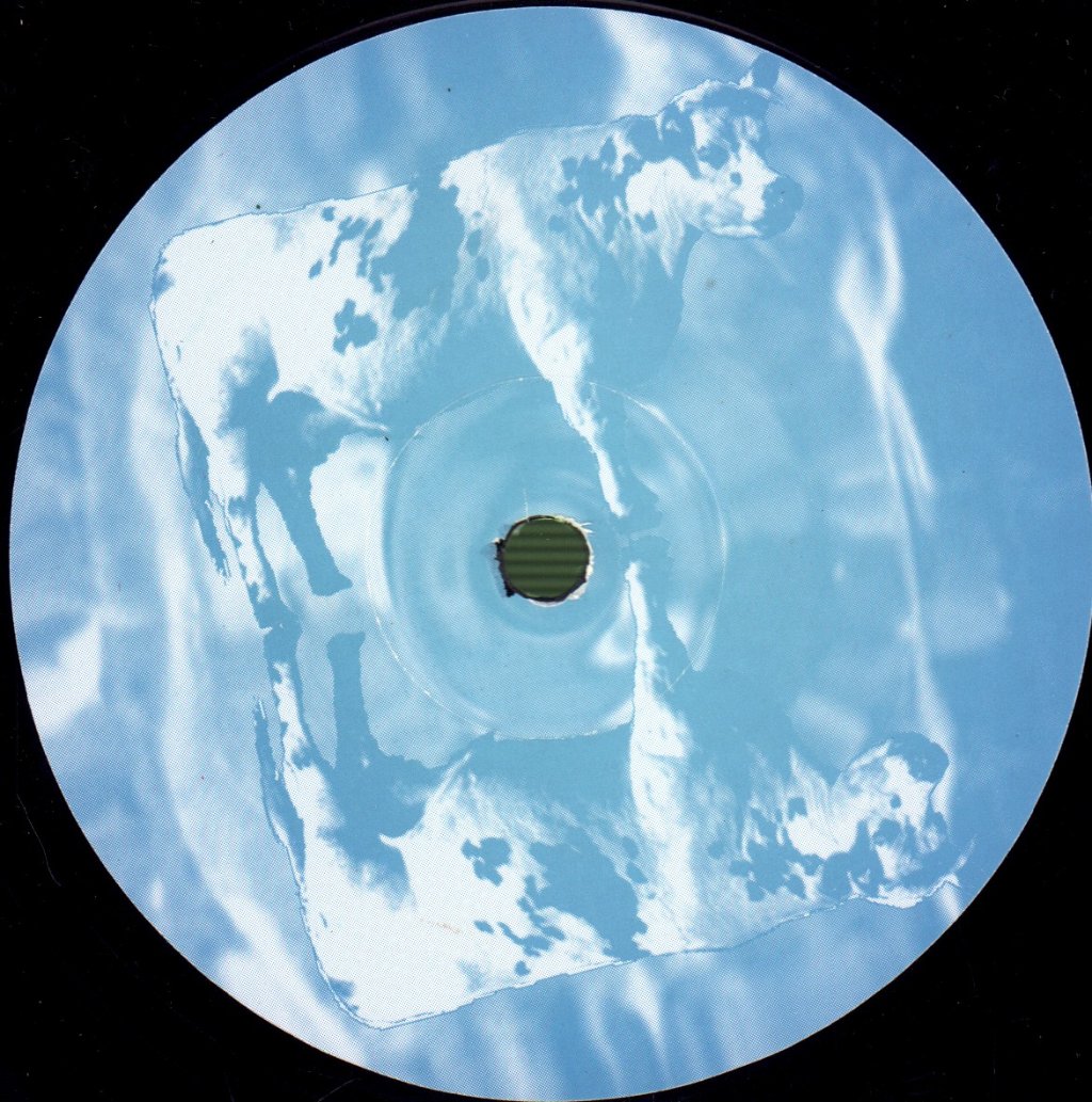 Moonflowers - Colours And Sounds - Double Lp