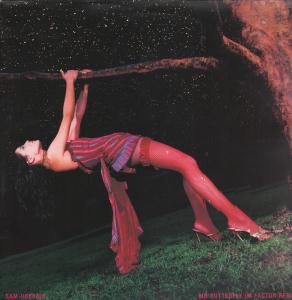Sam Obernik - Mr Butterfly - 12 Inch
