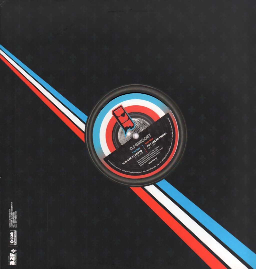 DJ Gregory - You Are My Friend - 12 Inch