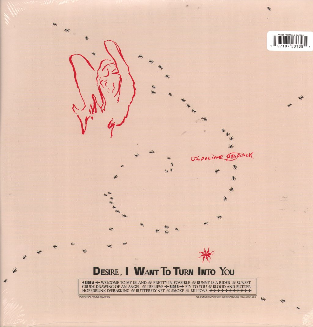 Caroline Polachek - Desire I Want You - Lp