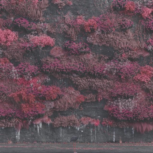 Sleep Token - Even In Arcadia - Cd