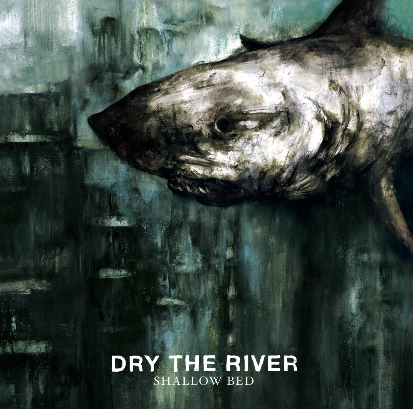 Dry The River - Shallow Bed - Cd