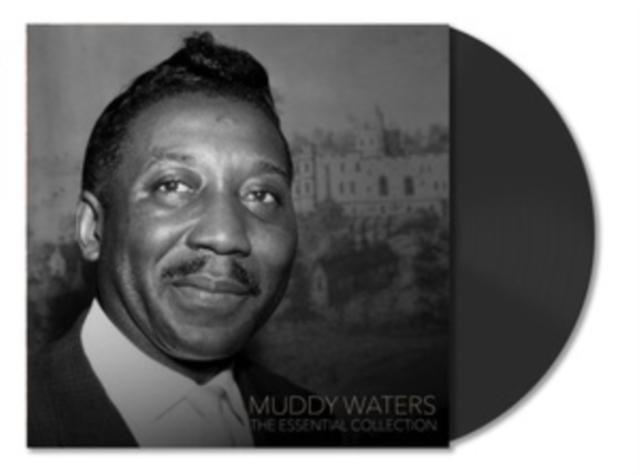 Muddy Waters - Regeneration - Lp