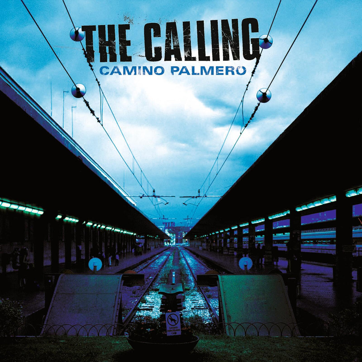 Calling - Camino Palmero - Lp