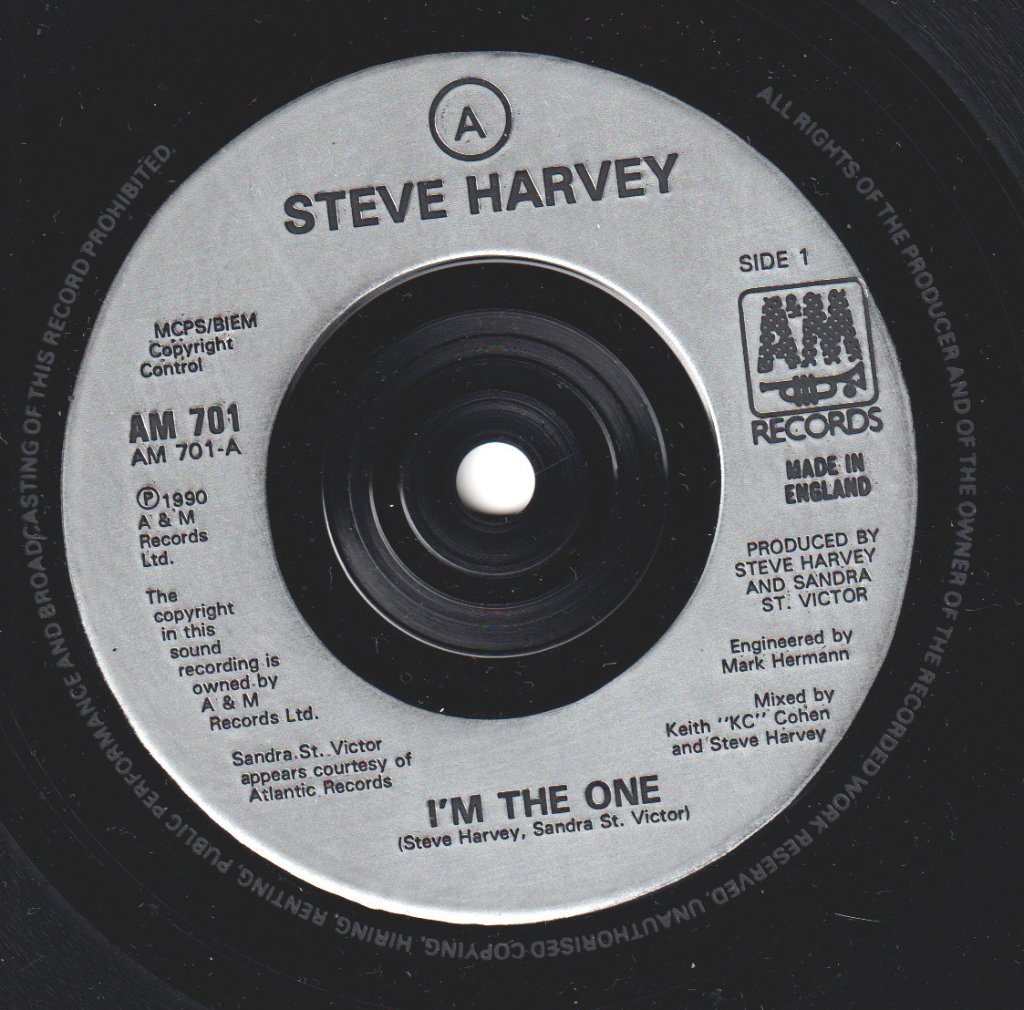 Steve Harvey - I'm The One - 7 Inch