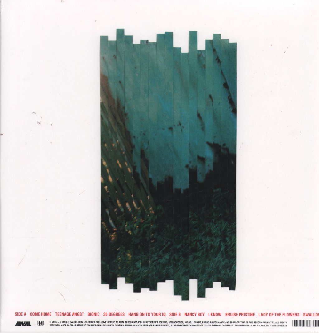 Placebo - RE:CREATED - Lp