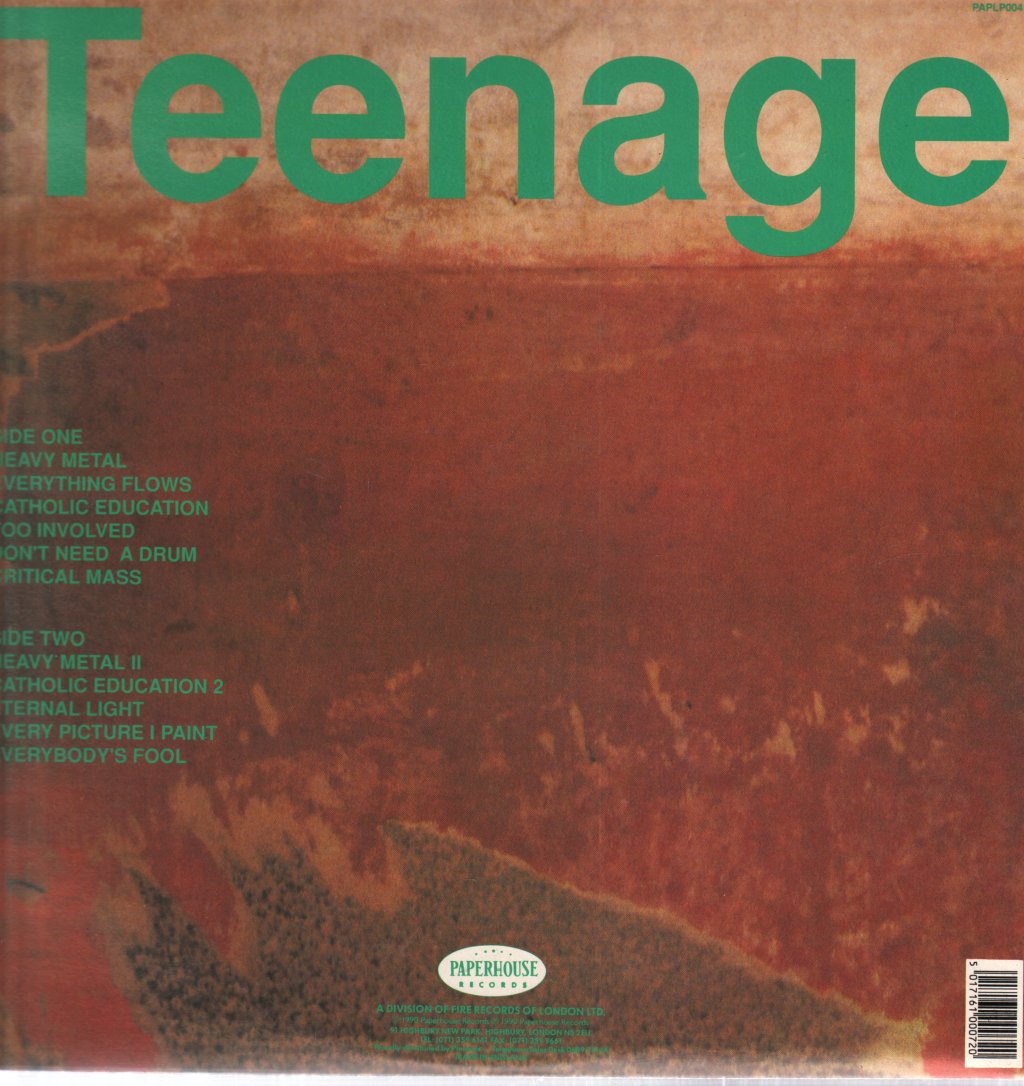 Teenage Fanclub - A Catholic Education - Lp