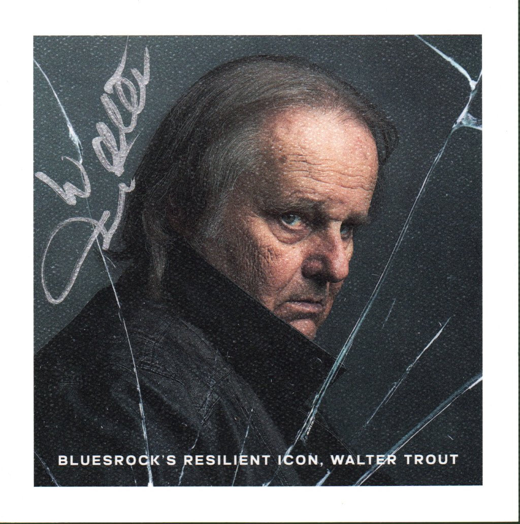 Walter Trout - Broken - Double Lp