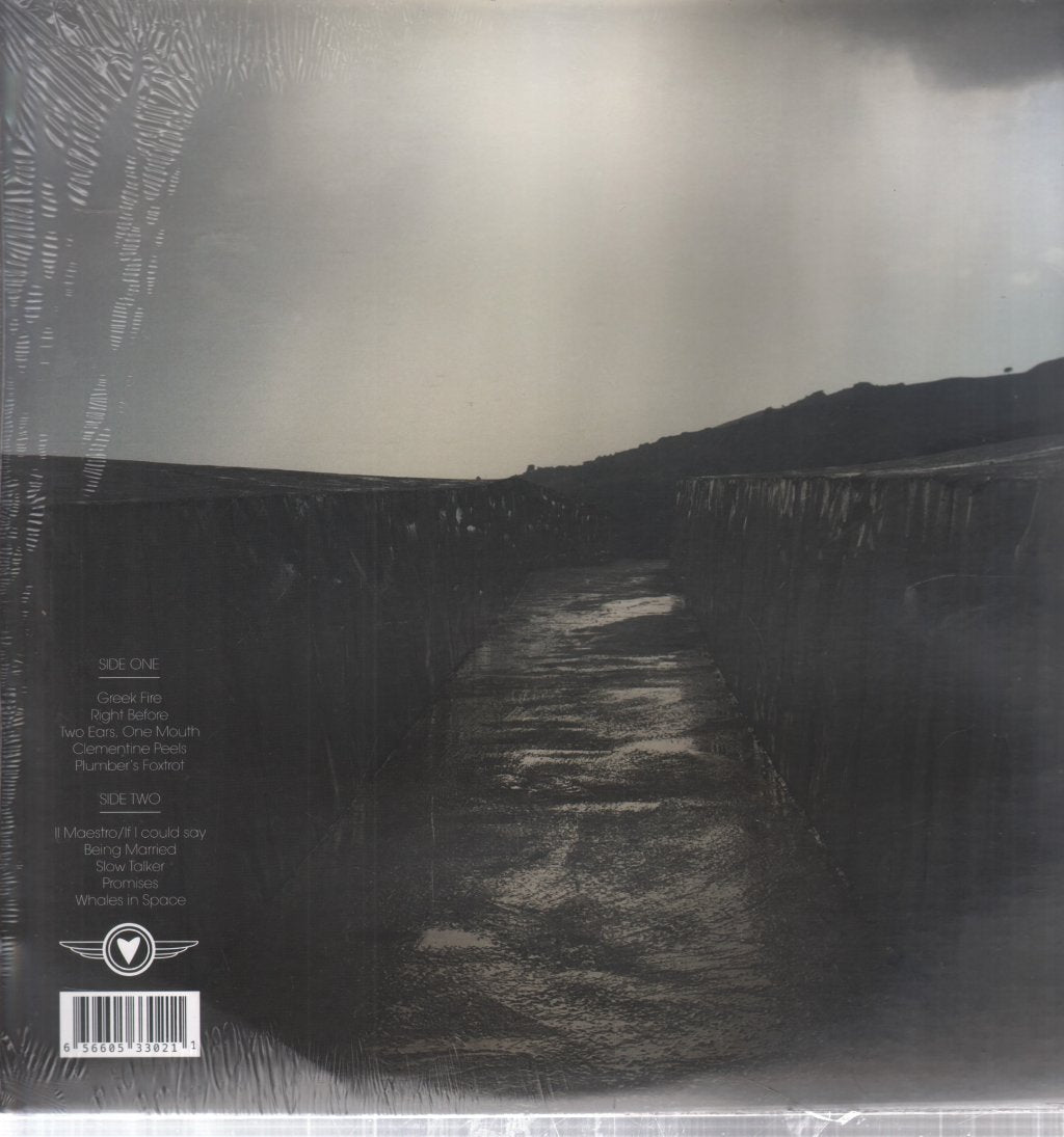 Bellini - Before The Day Has Gone - Lp